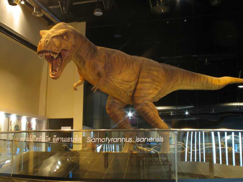 พิพิธภัณฑ์สิรินธร อุทยานโลกไดโนเสาร์ภูกุ้มข้าว